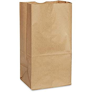 20LB HVY BROWN PAPER BAG